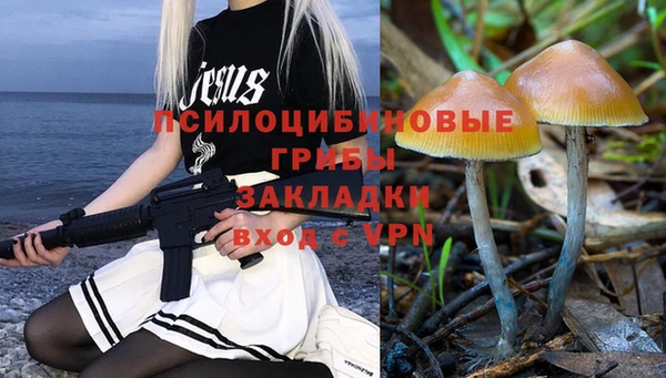 синтетический гашиш Арсеньев